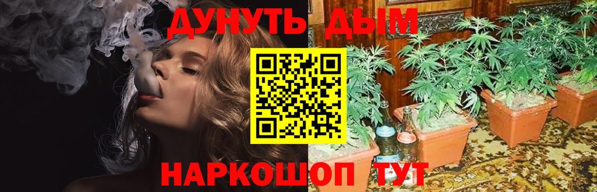 Конопля планчик Омск